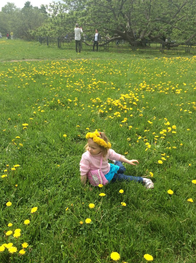 Маша в одуванчиках - оригинал