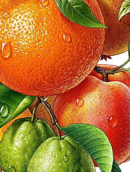 апельсины - натюрморт - оригинал
