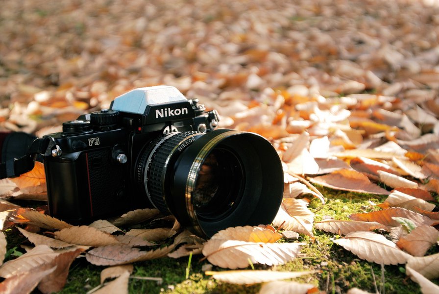 №1077494 - оригинал