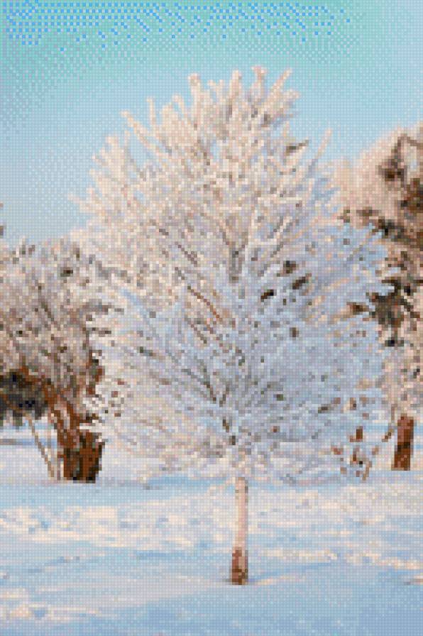 Елка снежная - предпросмотр