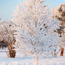 Оригинал схемы вышивки «Елка снежная» (№1077502)