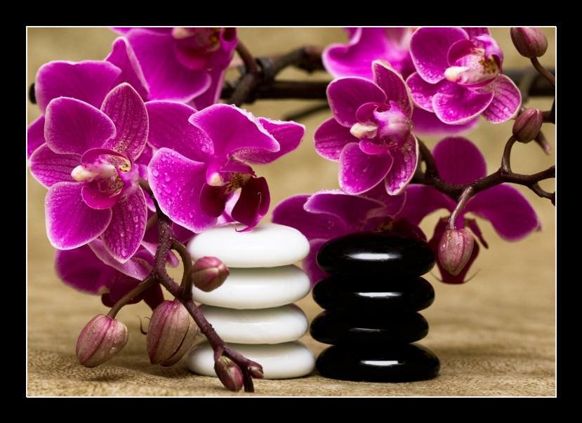 орхидея - оригинал