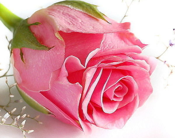 №1077705 - оригинал