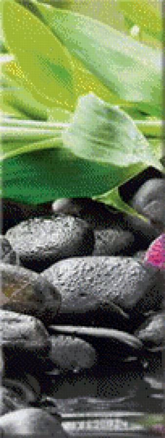 полиптех_цветок на камне_ ч.2 - полиптех, вода, камень, отражение, цветок, орхидея - предпросмотр