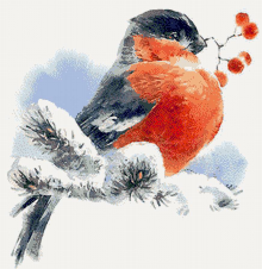 Снегирь - зима, птицы - предпросмотр
