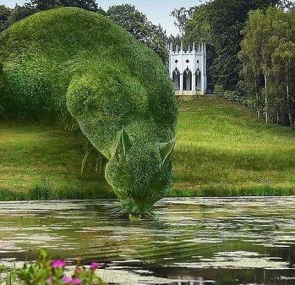 Топиари 1 - кошка, беседка, река, лужайка, куст - оригинал