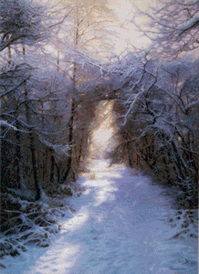 Зимняя арка. - арка, снег, тропинка, деревья, зима, сказка, лес - предпросмотр