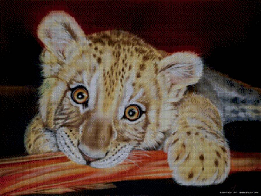 кисуня - хищник, леопард - предпросмотр