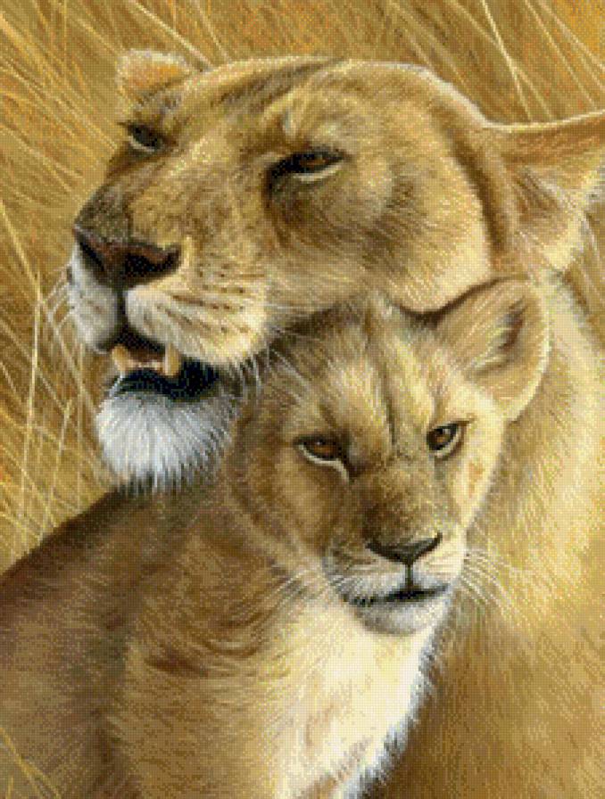 Мама и малыш - животные, дикие кошки, львенок, лев - предпросмотр