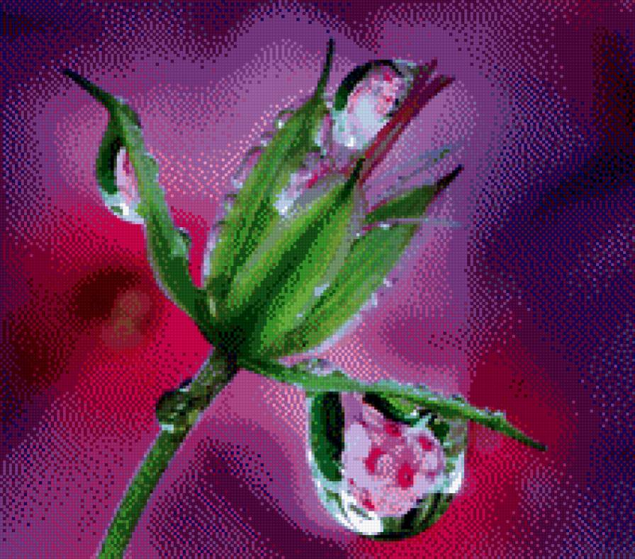 Капли воды - разное - предпросмотр