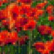 Предпросмотр схемы вышивки «маки 2» (№1078913)