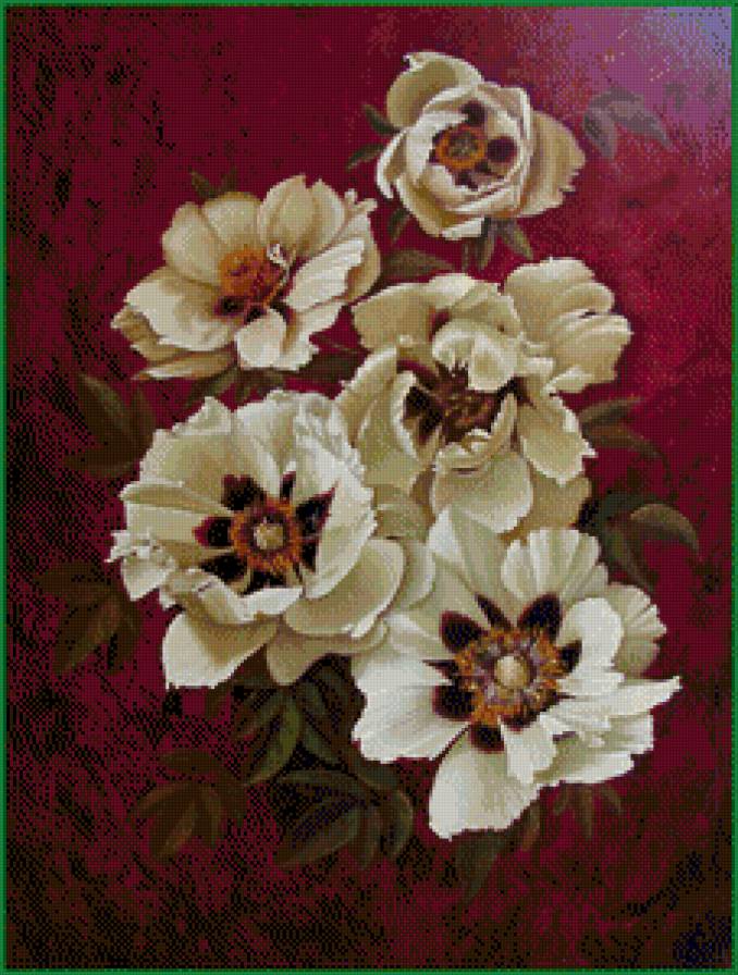 анемоны - весенние цвети, анемоны, цветы - предпросмотр