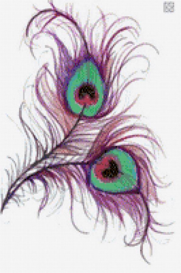 Peacock feather - предпросмотр