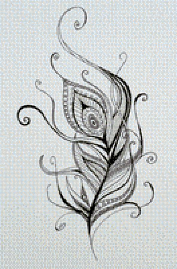 Peacock feather - предпросмотр