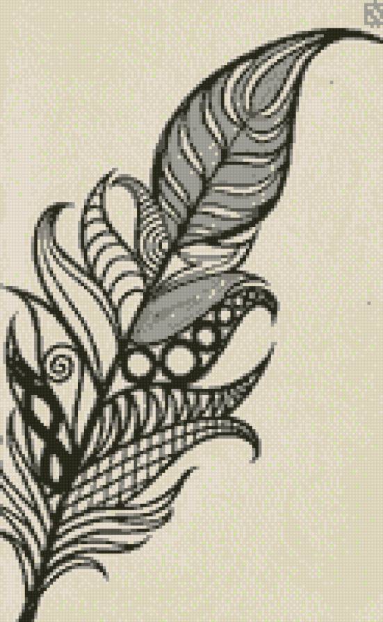 Peacock feather - предпросмотр