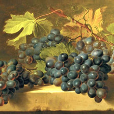 Оригинал схемы вышивки «виноград» (№1079591)