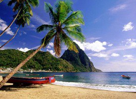 Море и пальмы - оригинал