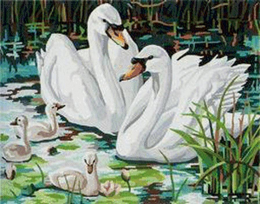 Лебеди - предпросмотр