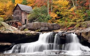 Водяная мельница в лесу - оригинал