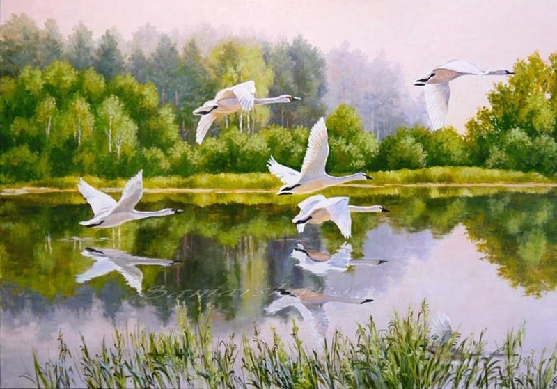 Дикие гуси - оригинал