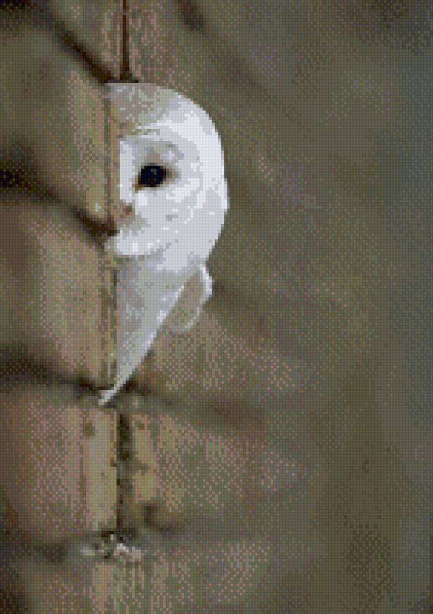 123 - предпросмотр