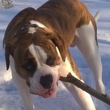 Схема вышивки «Тайгер 2»