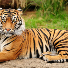 Схема вышивки «1»