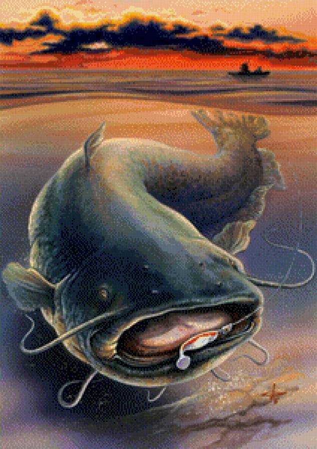 Сом - рыба, рыбалка - предпросмотр