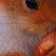 Предпросмотр схемы вышивки «белочка» (№1080936)