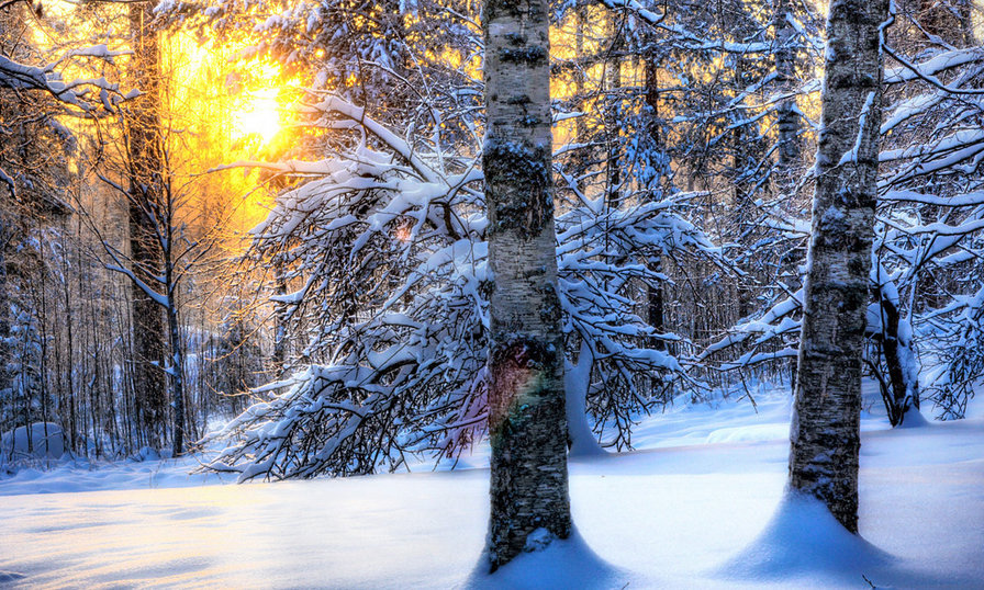 закат зимой - природа - оригинал