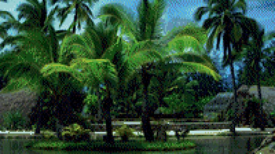 пальмы - предпросмотр