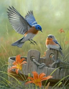 птички - оригинал