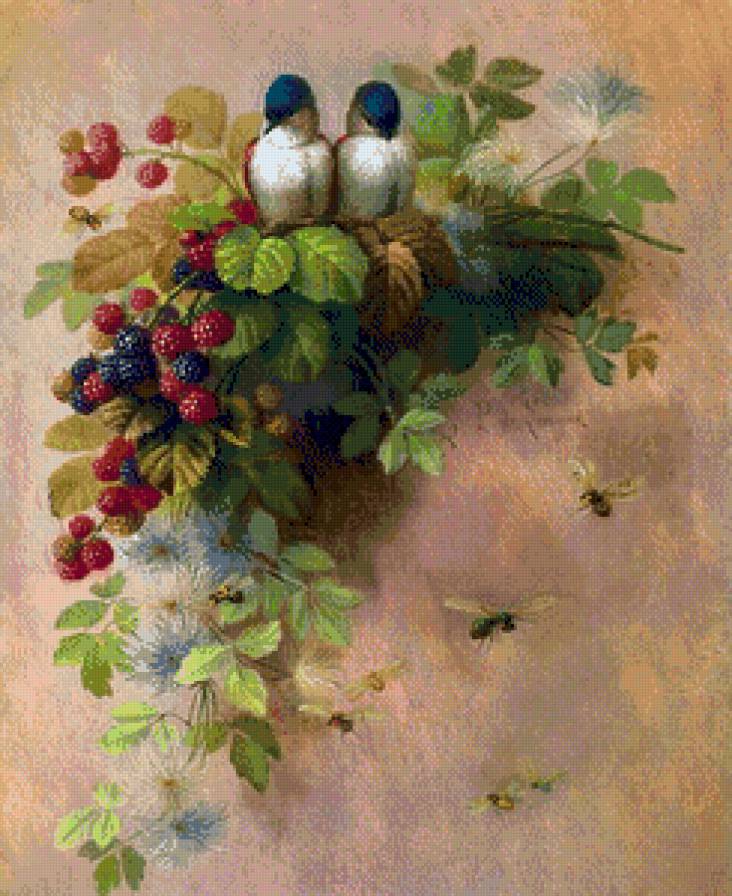 Ветка ежевики - ежевика, птицы - предпросмотр