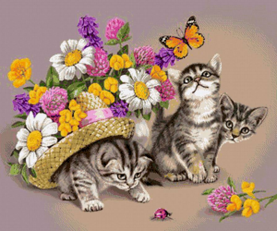 Котята - бабочка, цветы, котята - предпросмотр