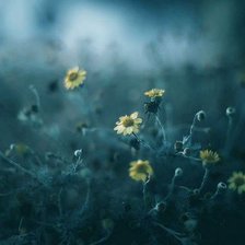 Схема вышивки «Релакс»