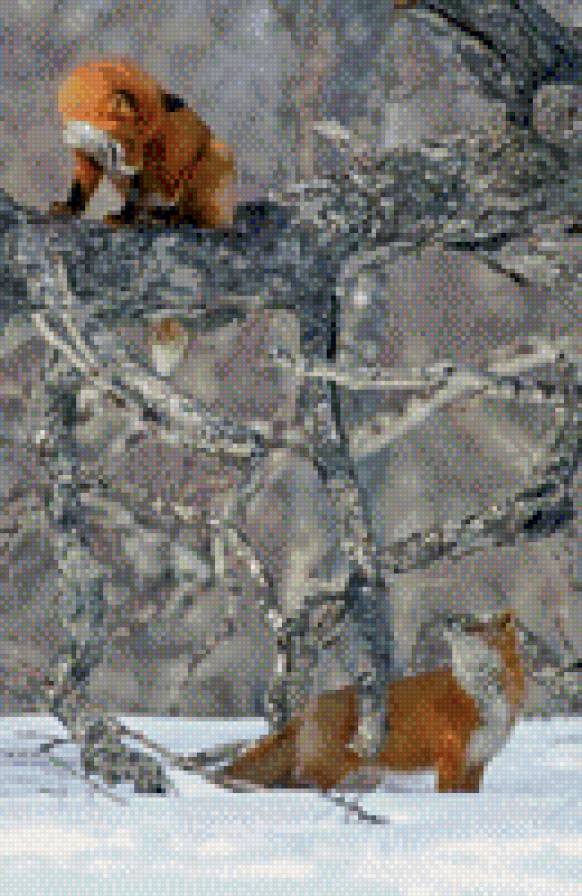 Лисички - предпросмотр