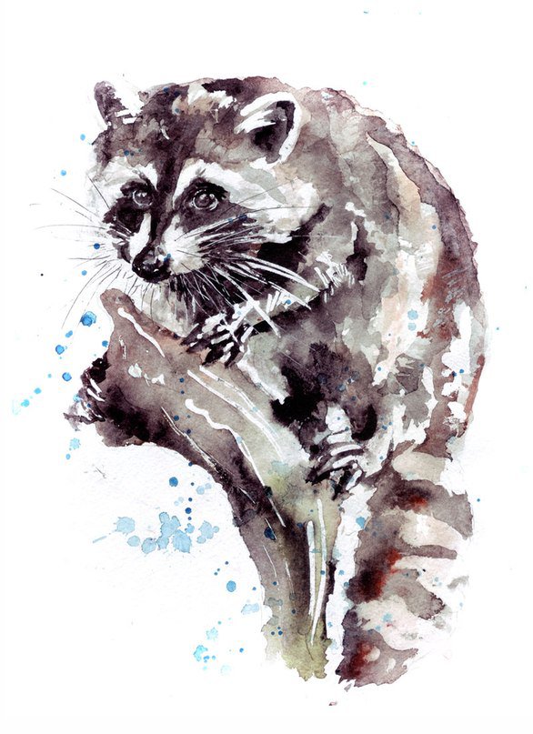 Енотик - оригинал