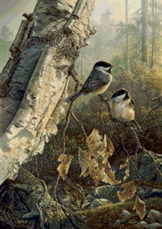 птички - природа - предпросмотр