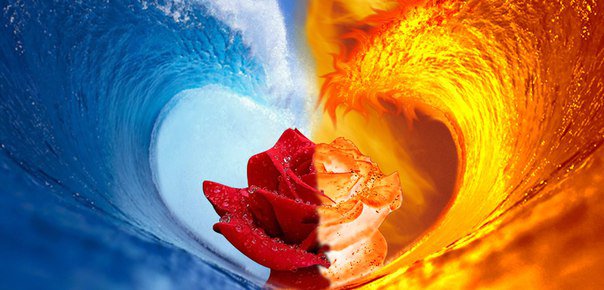 123456 - волна, роза - оригинал