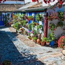 Схема вышивки «patio cordobes»