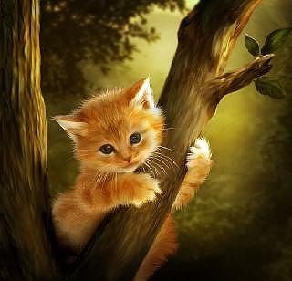 №1082112 - оригинал