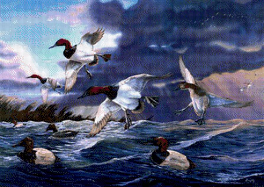 Птицы на море. - море, волны, птицы - предпросмотр