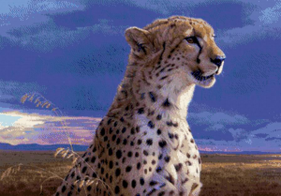 Хищник - животное - предпросмотр