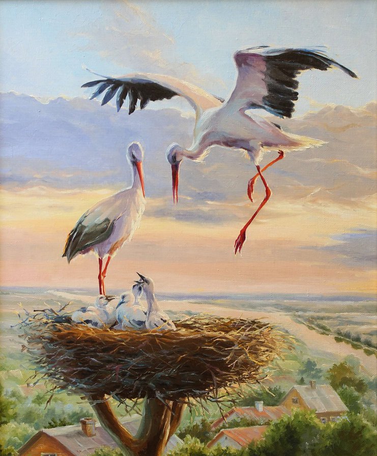 аисты на крыше - природа, семья, забота, птицы, аист - оригинал