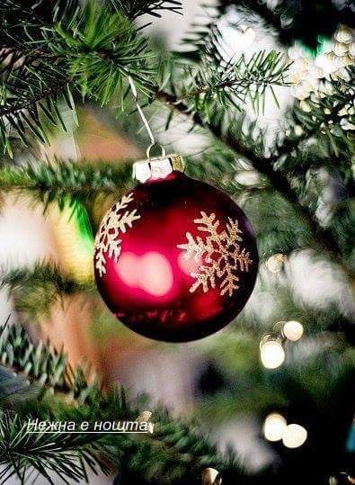 Xmas8 - оригинал