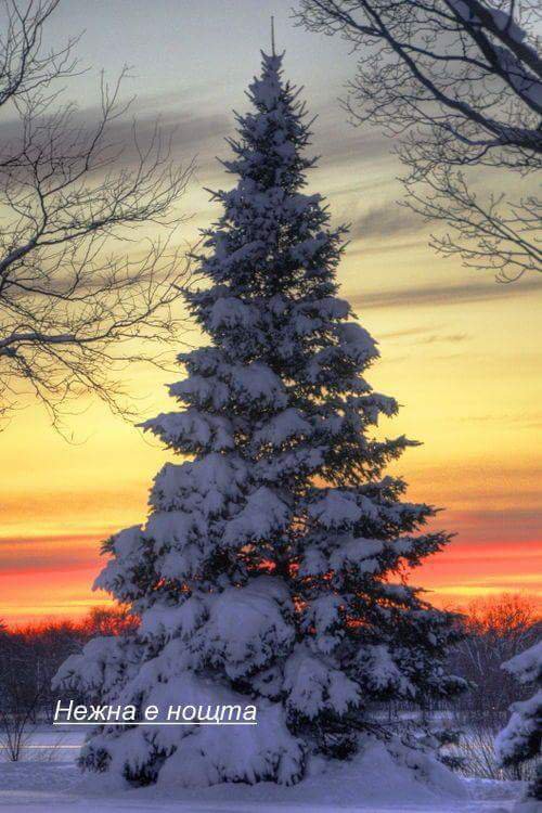 Snow3 - оригинал