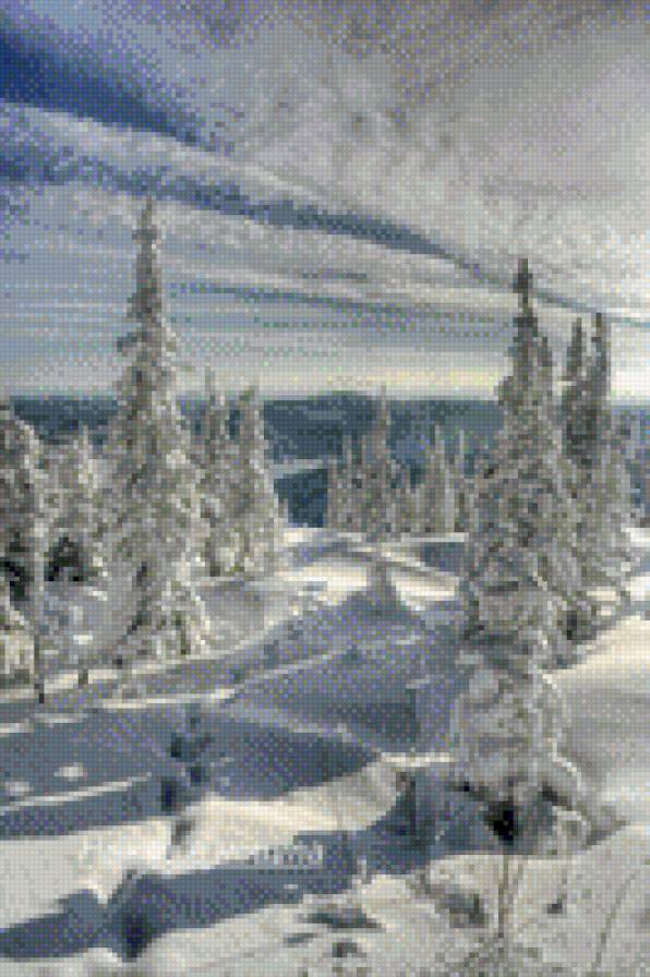 Forest - предпросмотр