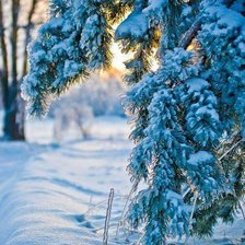 Схема вышивки «Forest1»