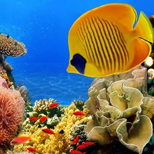 Схема вышивки «№1083265»