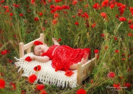 Lady in red - цветы, ребенок, девочка - оригинал